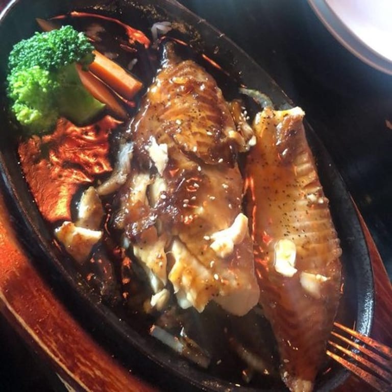Delicious Salmon Dishes
