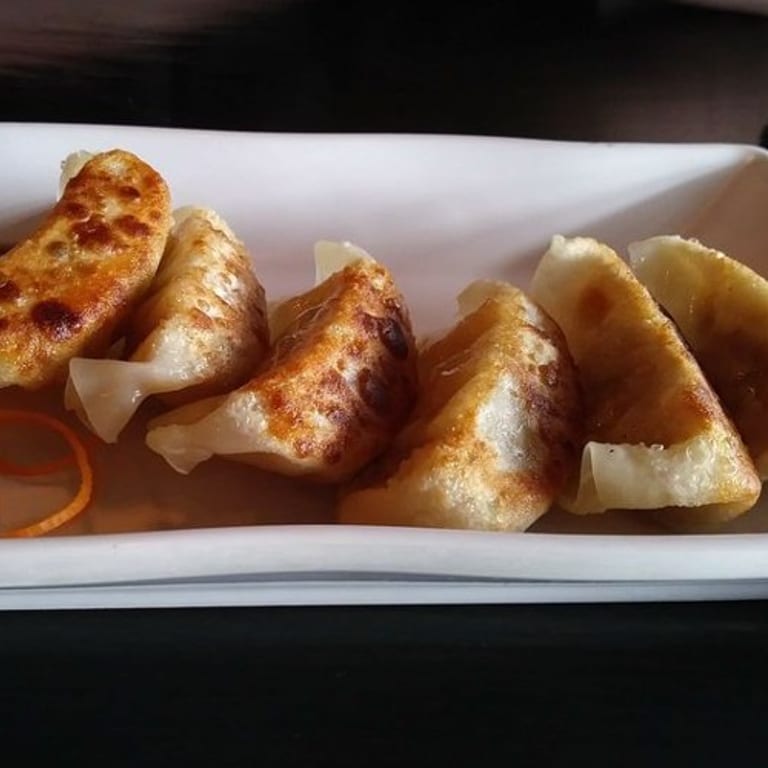 Savor Our Gyoza